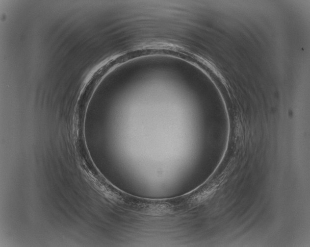 X0000083610979200702121111