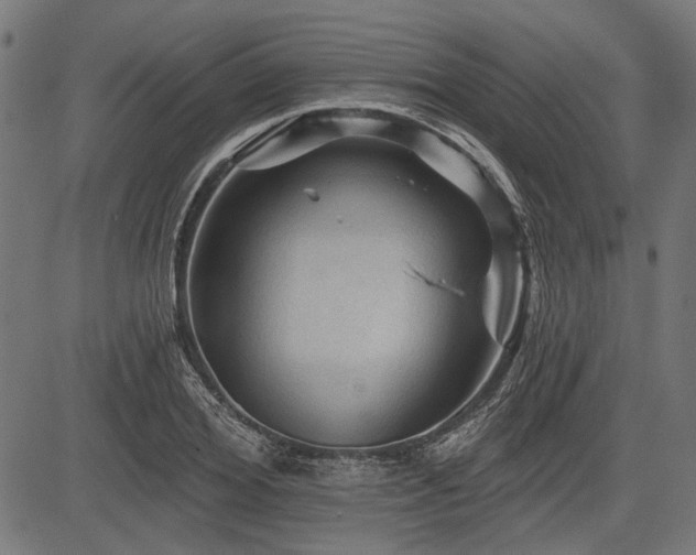 X0000083610980200702121111