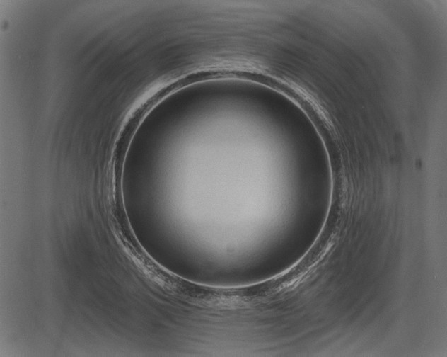 X0000083610982200702121111