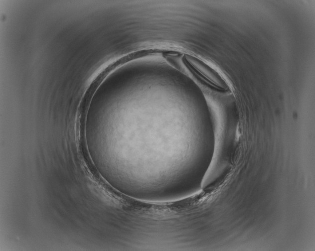 X0000083610983200702121111