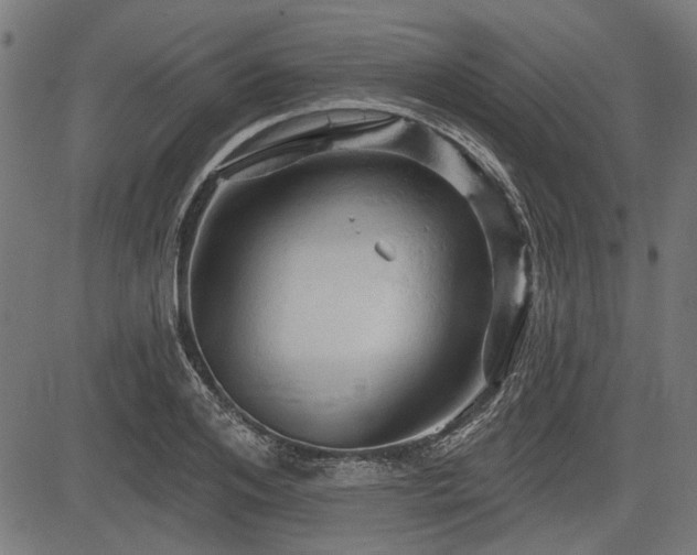 X0000083610984200702121111