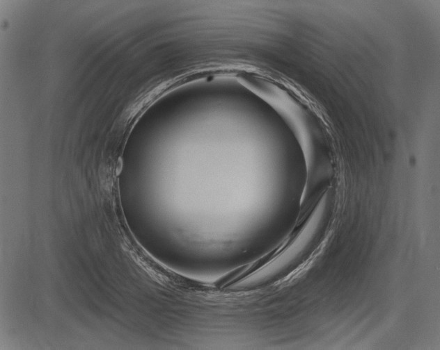 X0000083610985200702121111