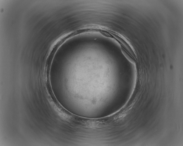 X0000083610987200702121111