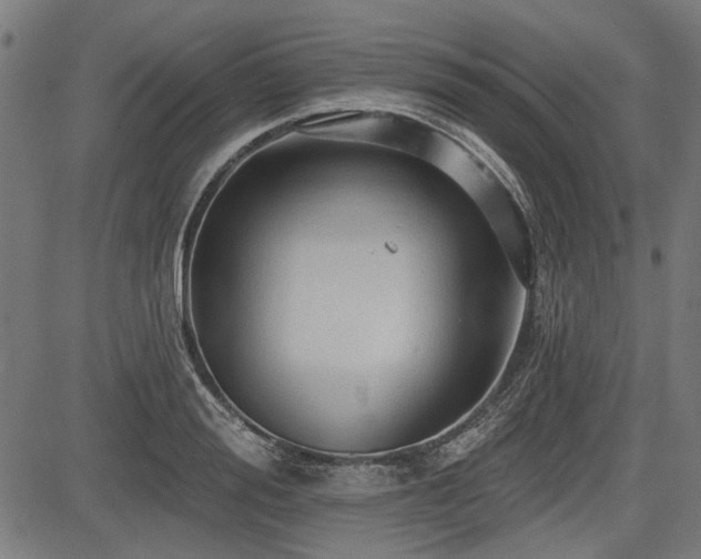 X0000083610988200702121111