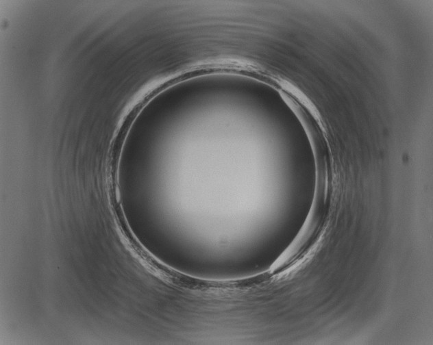 X0000083610989200702121111