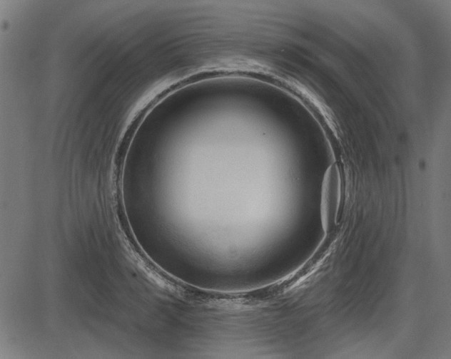 X0000083610990200702121111