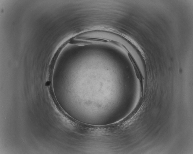 X0000083610991200702121111