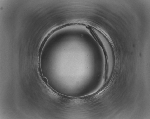 X0000083610992200702121111