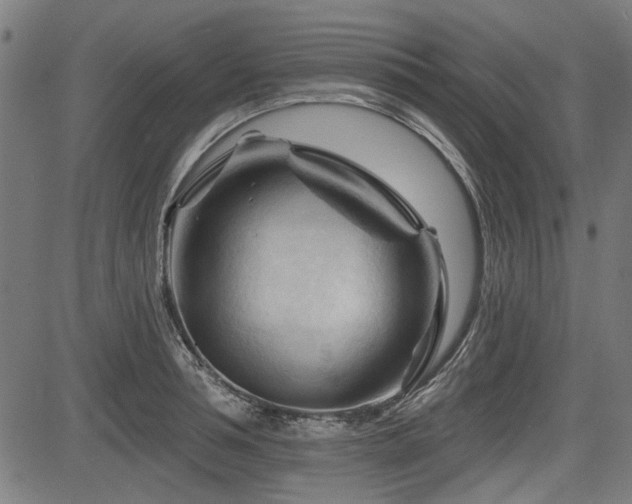 X0000083610994200702121111