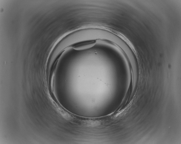 X0000083610996200702121111