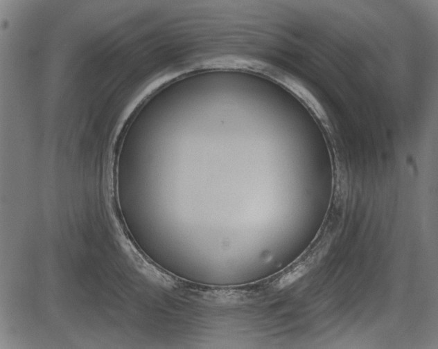X0000083611000200702121110
