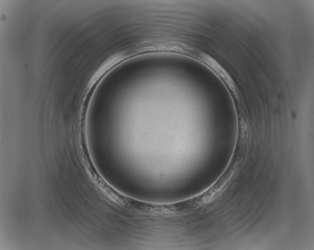 X0000083611002200702121110