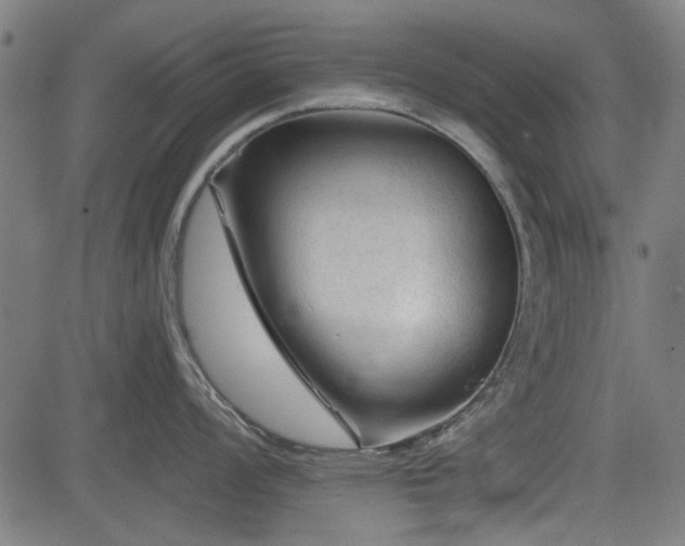 X0000083611008200702121110