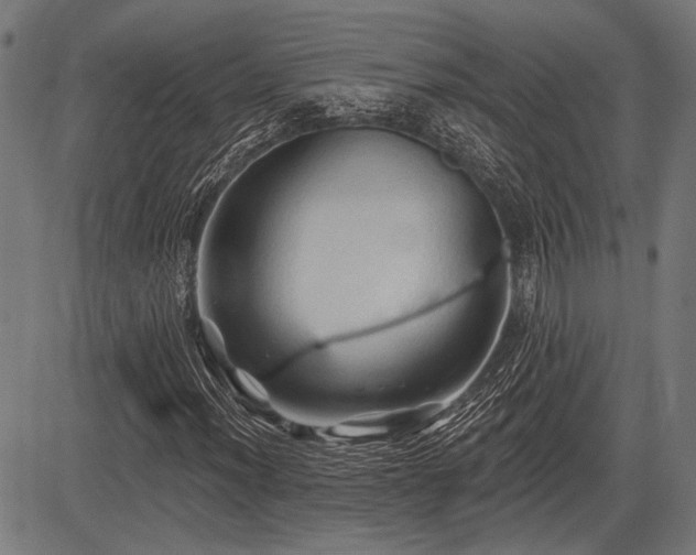 X0000083611012200702121110