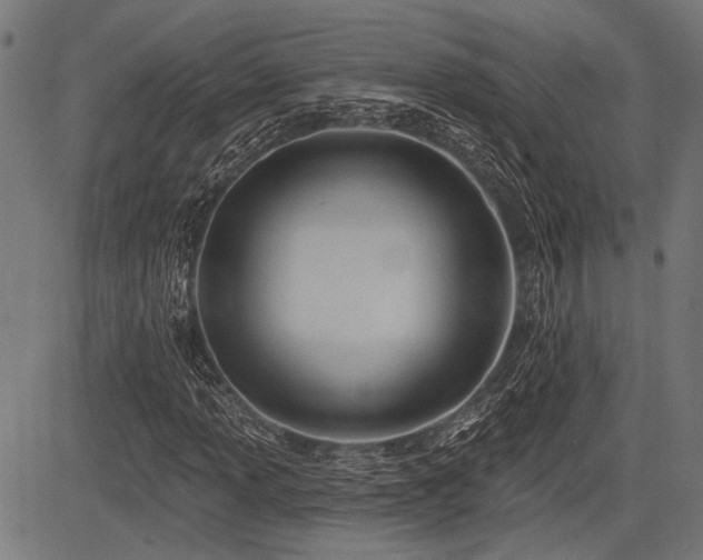 X0000083611013200702121110