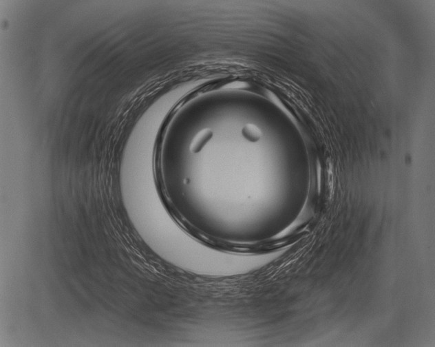 X0000083611014200702121110