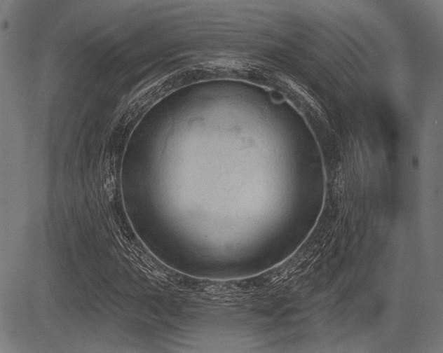 X0000083611015200702121110