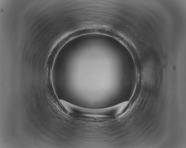 X0000083611021200702121110