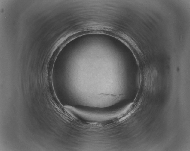 X0000083611023200702121110