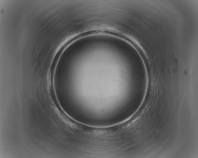 X0000083611032200702121110