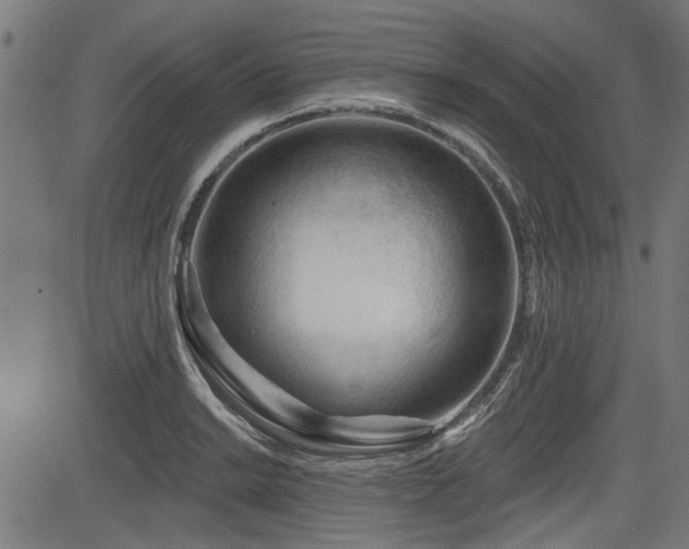 X0000083611038200702121110