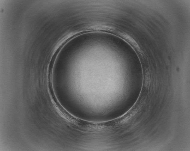 X0000083611039200702121110