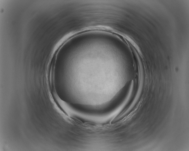 X0000083611054200702121110