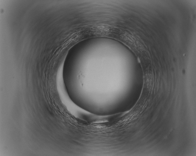 X0000083611057200702121110