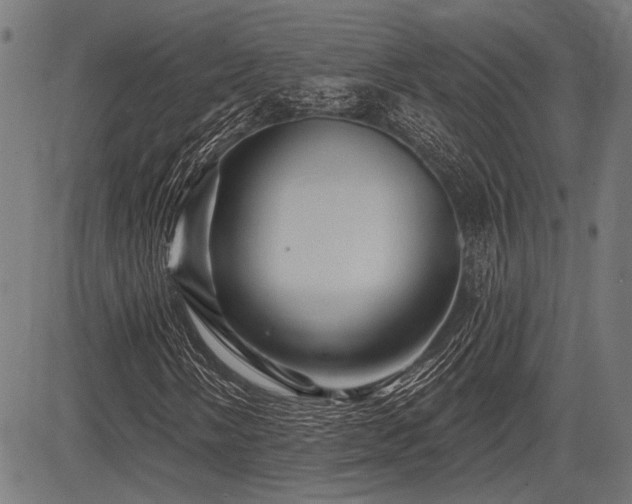 X0000083611058200702121109