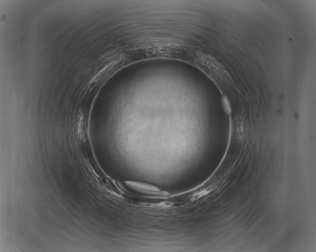 X0000083611060200702121109