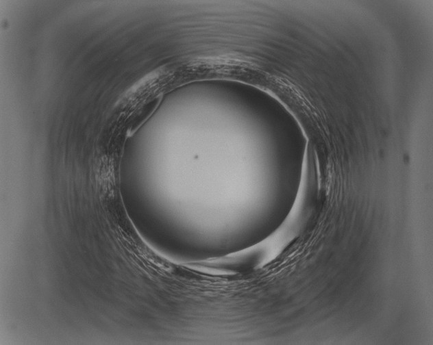 X0000083611062200702121109
