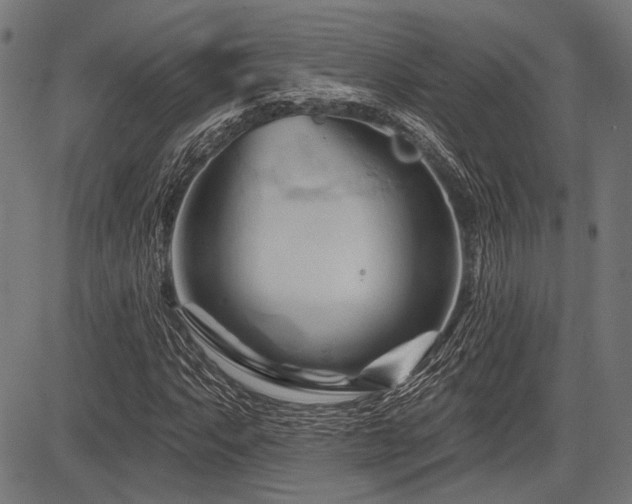 X0000083611063200702121109