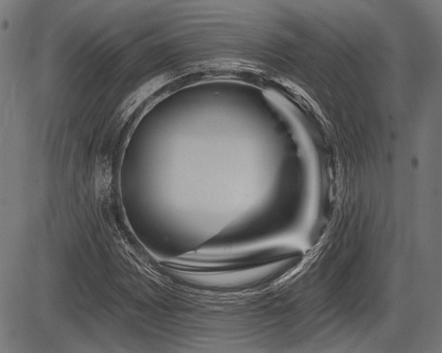 X0000083611065200702121109