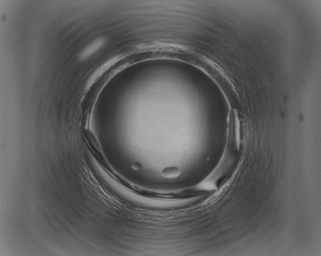 X0000083611066200702121109
