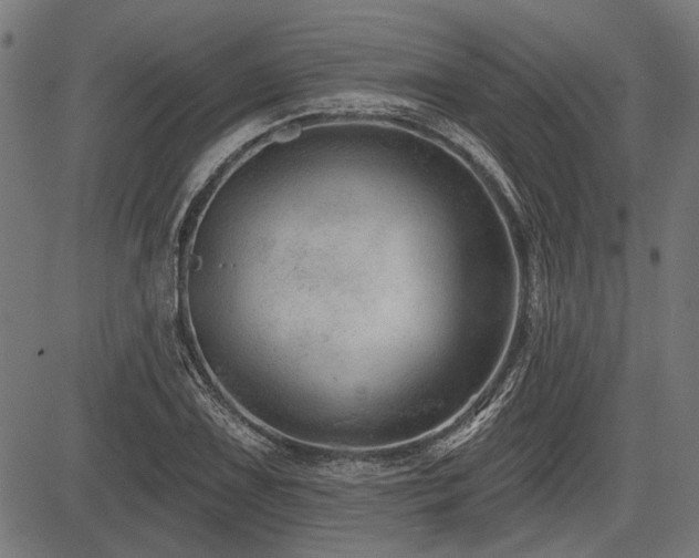 X0000083611075200702121109