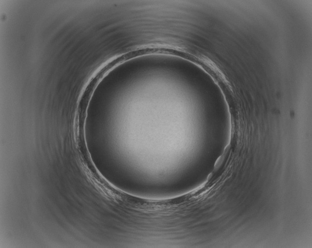 X0000083611076200702121109