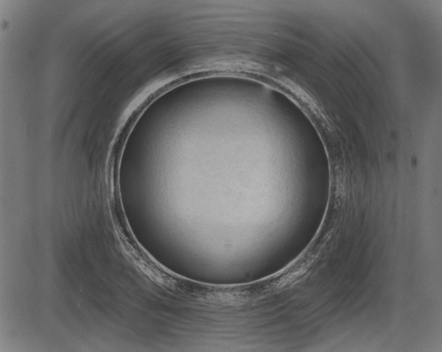 X0000083611078200702121109