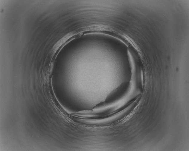 X0000083611081200702121109