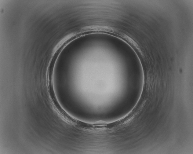 X0000083611082200702121109