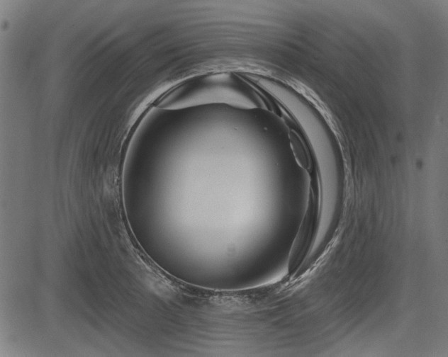 X0000083611089200702121109