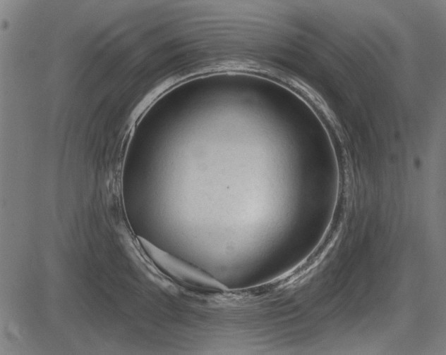 X0000083611097200702121109