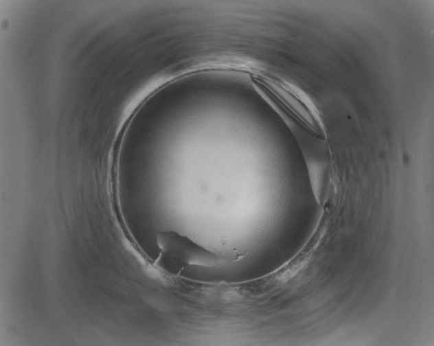 X0000083611103200702121109