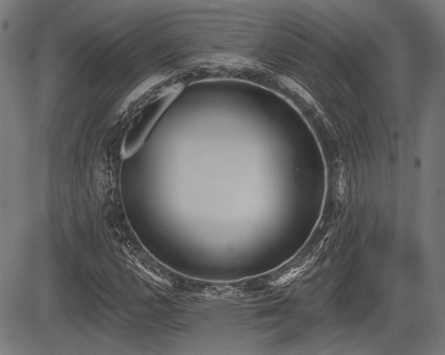 X0000083611112200702121108
