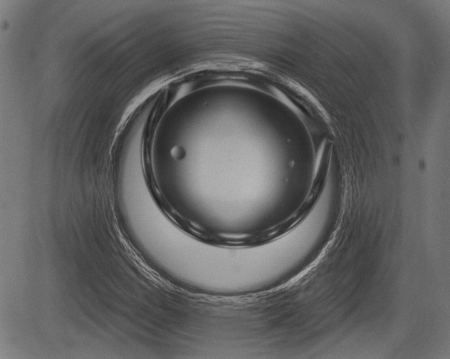 X0000083611114200702121108