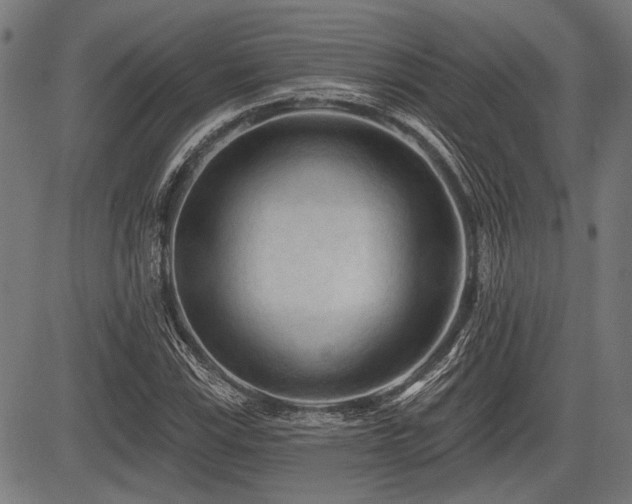 X0000083611115200702121108