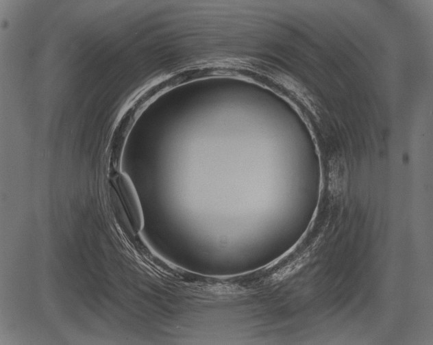 X0000083611117200702121108