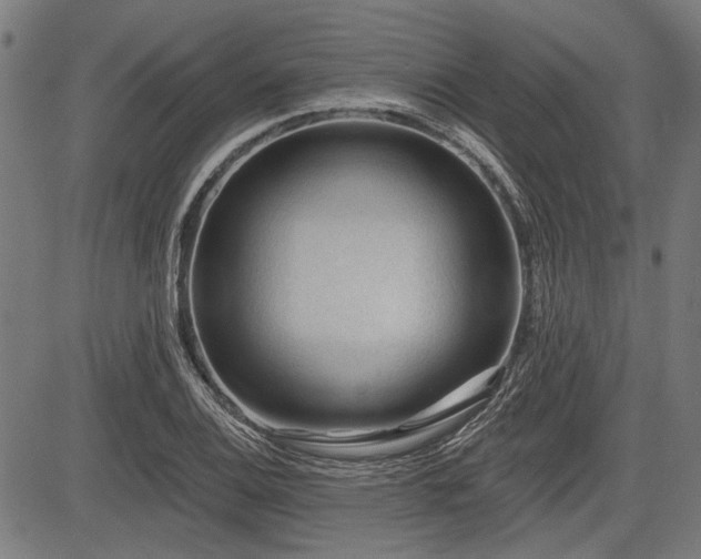 X0000083611124200702121108