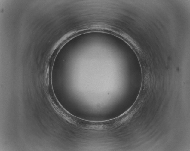 X0000083611126200702121108