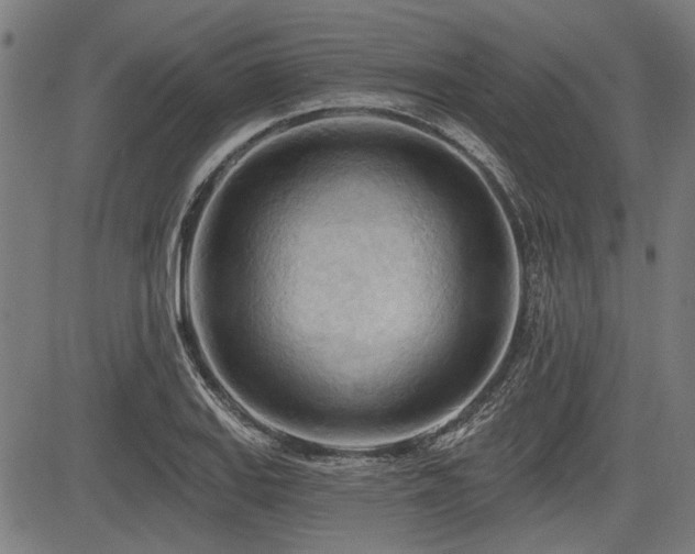 X0000083611127200702121108