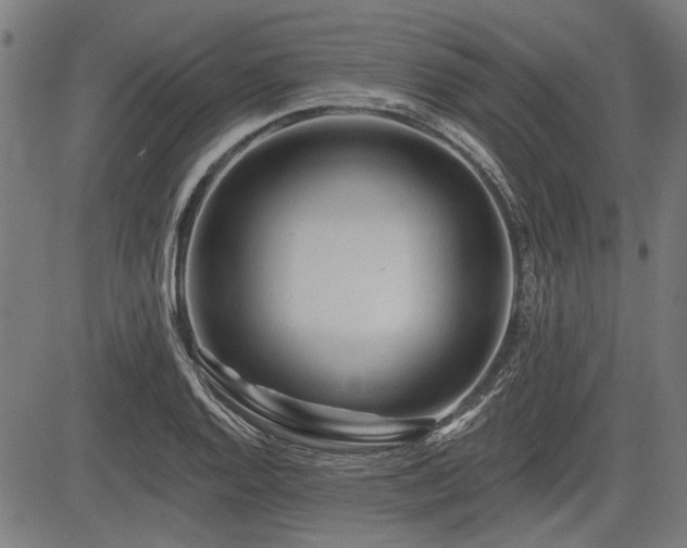 X0000083611128200702121108